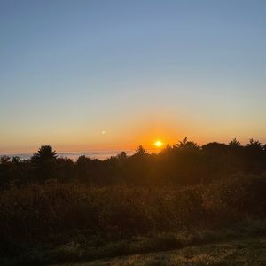 Meet your Posher, Micara